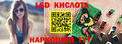 крисы Кандалакша