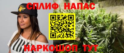 крисы Кандалакша
