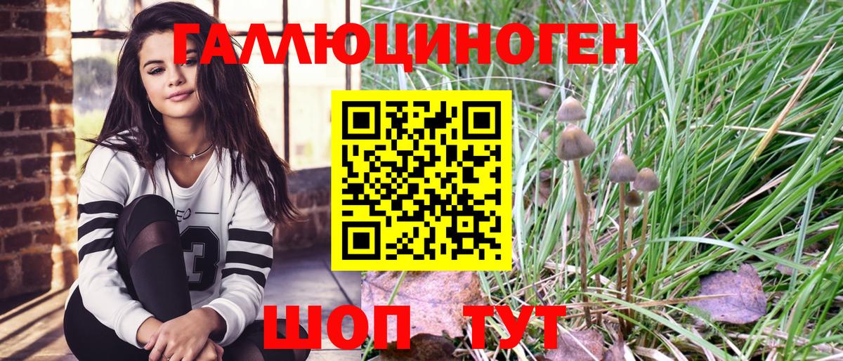 Гусь-Хрустальный  Галлюциногенные грибы ЛСД  Вход с VPN 